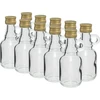 Pudele Galonik 40 ml ar vāciņiem, 10 gab. ['Galonik', ' pudele Galonik', ' pudele alkoholam', ' pudele uzlējumiem', ' kabatas pudele uzlējumiem']