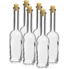 Pudele uzlējumam 100 ml 6 gab.+ 6 korķu - 5 
