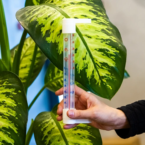 Āra termometrs ar caurspīdīgu skalu (-70 °C līdz +50 °C) 23 cm mix - 3