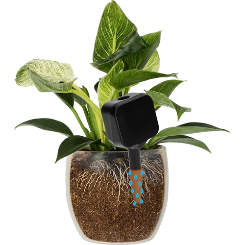 Augu laistītājs – melna tāfelīte ar keramisko spraudni, 200 ml - 6