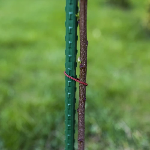 Dārza mietiņi Bioogród – pārklāts tērauds, 0,9 m, fi 8 mm, 10 gab. - 6