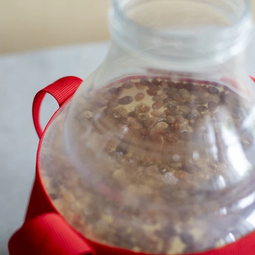 Demižons vīnam, viegls, nesaplīstošs, ar nesšanas siksnām, 10 l - 17