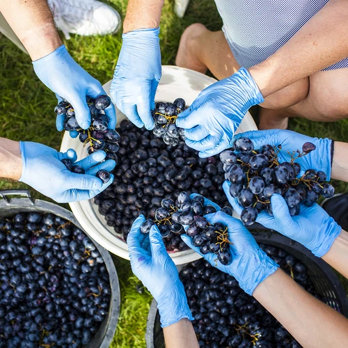 Fermentācijas trauks ar vāku 30 L - 17