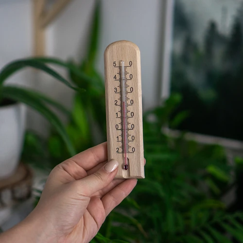 Istabas termometrs ar rakstu (-20°C līdz +50°C) 15cm - 4