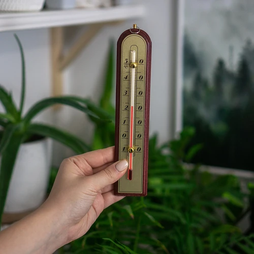 Istabas termometrs ar zelta skalu (-10°C līdz +50°C), 22 cm, asorti - 3