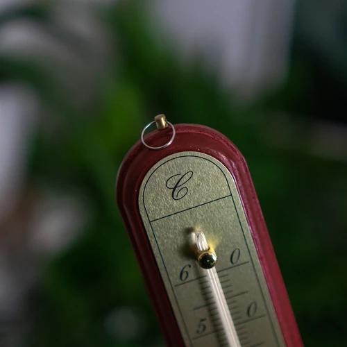 Istabas termometrs ar zeltkrāsas skalu (-10°C līdz +60°C) 28cm mikss - 7