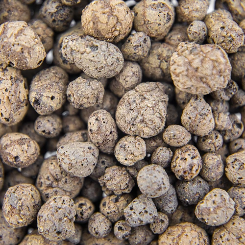 Keramzīts istabas augiem, dārzkopībai un mežiem stiklā, 4-10 mm, 1 L - 5