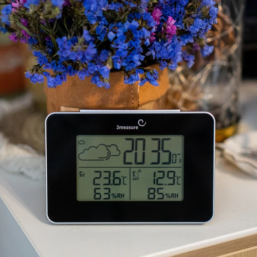 RCC laikapstākļu stacija – elektroniska, bezvadu, ar apgaismotu sensoru, melna - 13