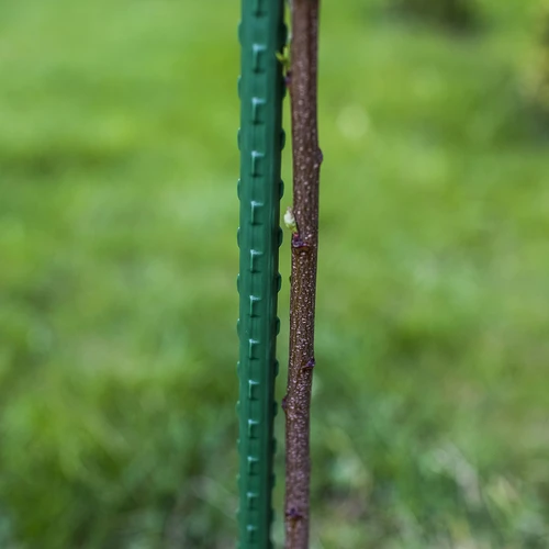 Tērauda balsta mietiņš ar PE pārklājumu 1,25 m x 11 mm - 3