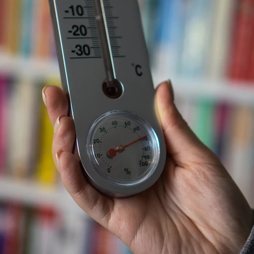 Universāls sudraba krāsas termometrs ar higrometru (no -30°C līdz +50°C) 25 cm - 4