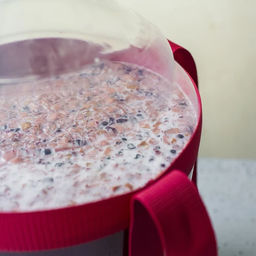 Vīna demižons, viegls, neplīstošs, ar siksnām, 25 L - 16