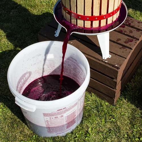 Vīna raugs Burgund bez pavairošanas, 20 ml - 4