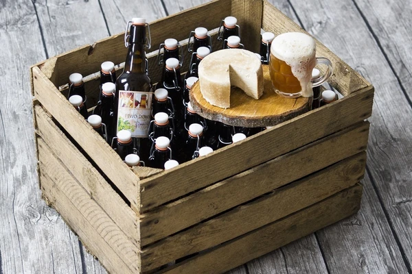 Mājas alus siers