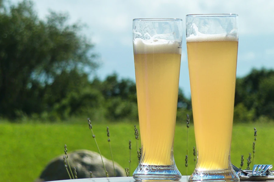 Browin Przepiśnik - Kviešu alus „Baltais”