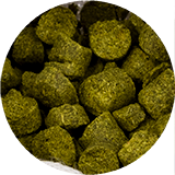Alus darīšana